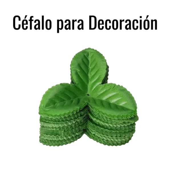 Céfalo para Decoración's foto | HAY DE TODO |  BizneCubano