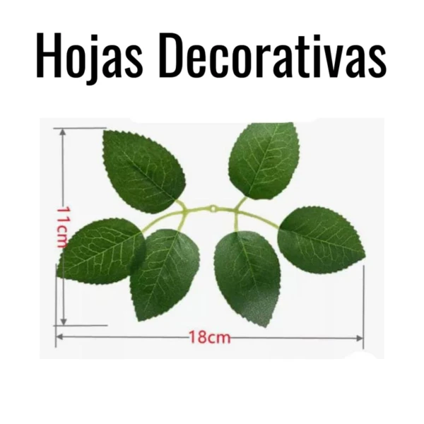 Hojas Decorativas's foto | HAY DE TODO |  BizneCubano